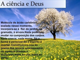 Molécula de ácido carbônico,
exalada nesse momento,
incorpora-se à flor do jardim, ao
gramado, à arvore.Nada podemos
mudar na composição dos corpos.
Nada cresce, nada morre. Só a
forma é perecível.Só o espírito é
imortal. Constituímos-nos da
poeira dos nossos antepassados,
os mesmos átomos e
moléculas.Nada se cria, nada se
perde.
A ciência e Deus
 