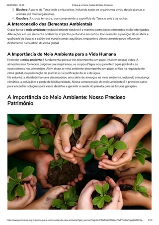 Artigo sobre Meio Ambiente. arquivo em pdf | PDF