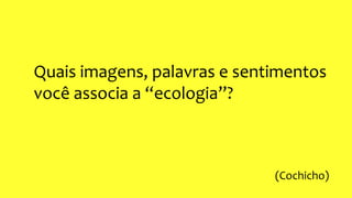 Quais imagens, palavras e sentimentos
você associa a “ecologia”?
(Cochicho)
 