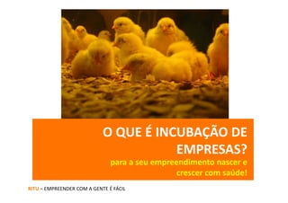 O QUE É INCUBAÇÃO DE 
                                       EMPRESAS?
                               para a seu empreendimento nascer e 
                                                crescer com saúde!
RITU – EMPREENDER COM A GENTE É FÁCIL
 