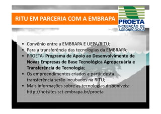 RITU EM PARCERIA COM A EMBRAPA


 • Convênio entre a EMBRAPA E UEPA/RITU;
 • Para a transferência das tecnologias da EMBRAPA;
 • PROETA‐ Programa de Apoio ao Desenvolvimento de 
   Novas Empresas de Base Tecnológica Agropecuária e 
   Transferência de Tecnologia;
 • Os empreendimentos criados a partir desta 
   transferência serão incubados na RITU;
 • Mais informações sobre as tecnologias disponíveis: 
   http://hotsites.sct.embrapa.br/proeta
 