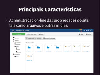 Principais Características
• Administração on-line das propriedades do site,
tais como arquivos e outras mídias.
 