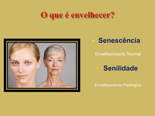 Senescência  Envelhecimento Normal Senilidade   Envelhecimento Patólogico 