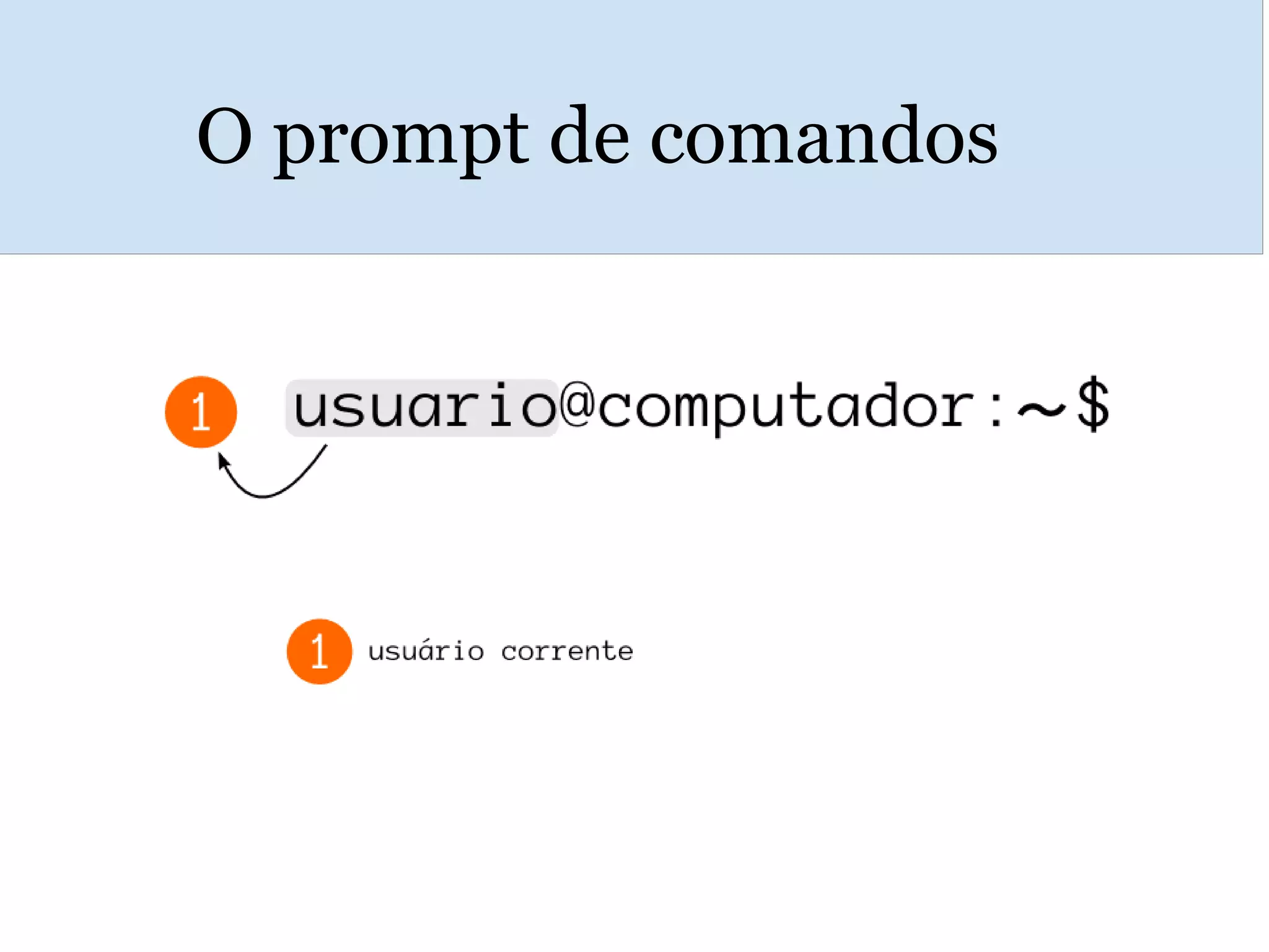 O prompt de comandos
 