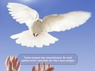 Tenha sempre dias maravilhosos. Se você gostou envie  esta lição de vida a seus amigos 