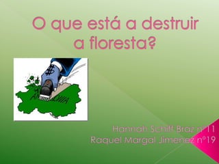 O que está a destruir a floresta?  Hannah Schiff Braz nº11 Raquel Margal Jimenez nº19 