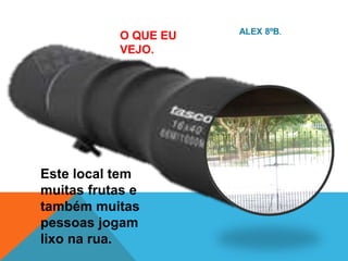 Este local tem
muitas frutas e
também muitas
pessoas jogam
lixo na rua.
ALEX 8ºB.
O QUE EU
VEJO.
 