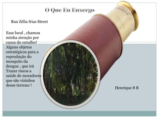 Rua Zélia frias Street
Esse local , chamou
minha atenção por
causa do entulho!
Alguns objetos
estratégicos para a
reprodução do
mosquito da
dengue , que irá
Trazer riscos a
saúde de moradores
que são vizinhos
desse terreno !
Henrique 8 B
 