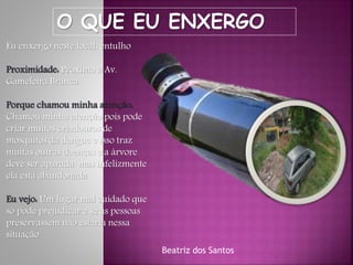 O QUE EU ENXERGO
Eu enxergo neste local, entulho
Proximidade: Próximo a Av.
Gameleira Branca
Porque chamou minha atenção:
Chamou minha atenção pois pode
criar muitos criadouros de
mosquitos da dengue e isso traz
muitas outras doenças e a árvore
deve ser aparada mas infelizmente
ela esta abandonada
Eu vejo: Um lugar mal cuidado que
só pode prejudicar e se as pessoas
preservassem não estaria nessa
situação
Beatriz dos Santos
 