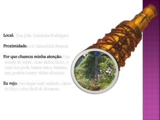 O que eu enxergo
Local: Rua João Caminha Rodrigues
Proximidade: Av. Gameleira Branca
Por que chamou minha atenção: Um
monte de terra , com vários lixos , e
com isso pode trazer ratos, baratas,
que podem trazer várias doenças.
Eu vejo: Um lugar mal cuidado, cheio
de lixo e alvo fácil de doenças.
Ellen
 