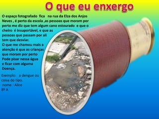 O espaço fotografado fica na rua da Elza dos Anjos
Neves , é perto da escola ,as pessoas que moram por
perto me diz que tem algum cano estourado e que o
cheiro é insuportável, e que as
pessoas que passam por ali
tem que desviar.
O que me chamou mais a
atenção é que as crianças
que moram por perto
Pode pisar nessa água
e ficar com alguma
Doença.
Exemplo: a dengue ou
coisa do tipo.
nome : Alice
8º A
 