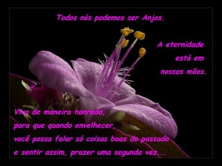 Todos nós podemos ser Anjos. A eternidade  está em  nossas mãos.    Viva de maneira honrada,  para que quando envelhecer,  você possa falar só coisas boas do passado  e sentir assim, prazer uma segunda vez... 