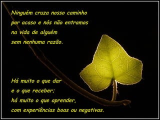 Ninguém cruza nosso caminho
por acaso e nós não entramos
na vida de alguém
sem nenhuma razão.




Há muito o que dar
e o que receber;
há muito o que aprender,
com experiências boas ou negativas.
 