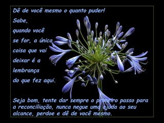 Dê de você mesmo o quanto puder!
Sabe,
quando você
se for, a única
coisa que vai
deixar é a
lembrança
do que fez aqui.
 
Seja bom, tente dar sempre o primeiro passo para
a reconciliação, nunca negue uma ajuda ao seu
alcance, perdoe e dê de você mesmo.
 