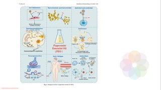 Conteúdo licenciado para Luana Pinheiro Silva -
 