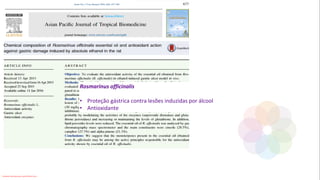 Rosmarinus officinalis
• Proteção gástrica contra lesões induzidas por álcool
• Antioxidante
Conteúdo licenciado para Luana Pinheiro Silva -
 