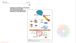 Conteúdo licenciado para Luana Pinheiro Silva -
 
