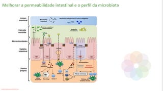 Melhorar a permeabilidade intestinal e o perfil da microbiota
Conteúdo licenciado para Luana Pinheiro Silva -
 