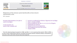 Principais ácidos boswelicos com ação no
sistema imunológico
11-keto-boswellic acid
acetyl-11-keto -boswellic acid
✓ Aumento na proliferação de linfócitos e fagocitose de macrófagos
✓ Inibem a ativação do NFKB
✓ Diminui produção de TNF-alfa, IL-1, IL-2, IL-4, IL-6 e IFN-gama
✓ Estabilização de mastócitos
✓ Inibição da síntese de prostaglandinas
✓ Inibe lipoxigenase de forma mais intensa
✓ Inibição de EROS
Conteúdo licenciado para Luana Pinheiro Silva -
 