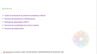 The role of the gut microbiota in NAFLD. NATURE REVIEWS | GASTROENTEROLOGY & HEPATOLOGY, 2016
Berberina
✓ Usado no tratamento da síndrome metabólica e NAFLD
✓ Aumento de lactobacilos e bifdobacterias
✓ Redução de adiposidade e MCP-1
✓ Aumento da sensibilidade da insulina e leptina
✓ Aumento de adiponectina
Conteúdo licenciado para Luana Pinheiro Silva -
 
