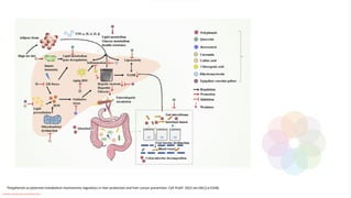 Polyphenols as potential metabolism mechanisms regulators in liver protection and liver cancer prevention. Cell Prolif. 2023 Jan;56(1):e13346.
Conteúdo licenciado para Luana Pinheiro Silva -
 
