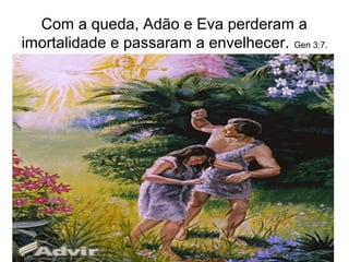 Com a queda, Adão e Eva perderam a
imortalidade e passaram a envelhecer. Gen 3:7.
 
