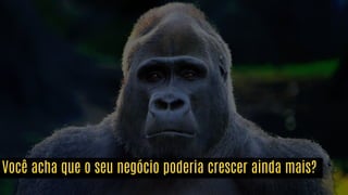 Você acha que o seu negócio poderia crescer ainda mais?
 