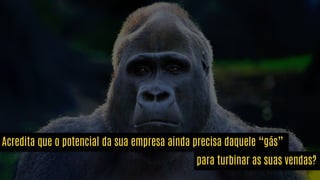 Acredita que o potencial da sua empresa ainda precisa daquele “gás”
para turbinar as suas vendas?
 