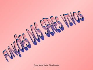 FUNÇÕES DOS SERES VIVOS 