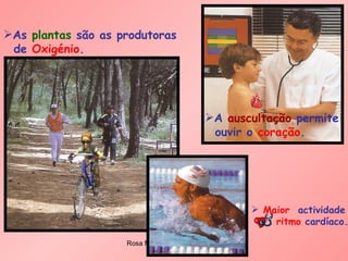 As  plantas  são as produtoras de  Oxigénio .  A  auscultação  permite ouvir o  coração . Maior   actividade ritmo  cardíaco.   