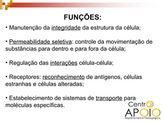 FUNÇÕES:
• Manutenção da integridade da estrutura da célula;

• Permeabilidade seletiva: controle da movimentação de
substâncias para dentro e para fora da célula;

• Regulação das interações célula-célula;

• Receptores: reconhecimento de antígenos, células
estranhas e células alteradas;

• Estabelecimento de sistemas de transporte para
moléculas específicas.
 