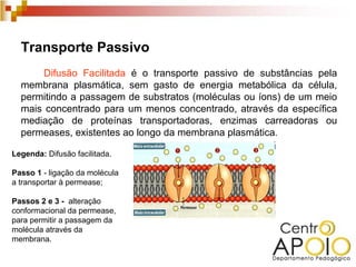Transporte Passivo
      Difusão Facilitada é o transporte passivo de substâncias pela
  membrana plasmática, sem gasto de energia metabólica da célula,
  permitindo a passagem de substratos (moléculas ou íons) de um meio
  mais concentrado para um menos concentrado, através da específica
  mediação de proteínas transportadoras, enzimas carreadoras ou
  permeases, existentes ao longo da membrana plasmática.

Legenda: Difusão facilitada.

Passo 1 - ligação da molécula
a transportar à permease;

Passos 2 e 3 - alteração
conformacional da permease,
para permitir a passagem da
molécula através da
membrana.
 