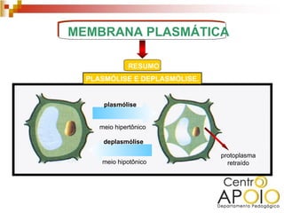 MEMBRANA PLASMÁTICA

              RESUMO
  PLASMÓLISE E DEPLASMÓLISE.


      plasmólise


     meio hipertônico

      deplasmólise

                               protoplasma
     meio hipotônico             retraído
 