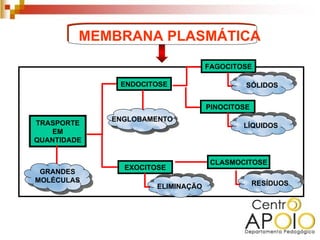 MEMBRANA PLASMÁTICA
                                   FAGOCITOSE

              ENDOCITOSE                    SÓLIDOS


                                   PINOCITOSE
             ENGLOBAMENTO
TRASPORTE                                  LÍQUIDOS
    EM
QUANTIDADE


                                    CLASMOCITOSE
               EXOCITOSE
 GRANDES
MOLÉCULAS                                       RESÍDUOS
                      ELIMINAÇÃO
 