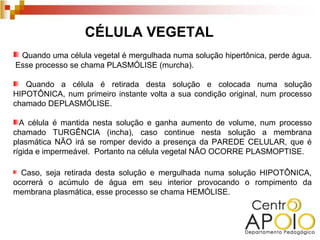 CÉLULA VEGETAL
 Quando uma célula vegetal é mergulhada numa solução hipertônica, perde água.
Esse processo se chama PLASMÓLISE (murcha).

   Quando a célula é retirada desta solução e colocada numa solução
HIPOTÔNICA, num primeiro instante volta a sua condição original, num processo
chamado DEPLASMÓLISE.

  A célula é mantida nesta solução e ganha aumento de volume, num processo
chamado TURGÊNCIA (incha), caso continue nesta solução a membrana
plasmática NÃO irá se romper devido a presença da PAREDE CELULAR, que é
rígida e impermeável. Portanto na célula vegetal NÃO OCORRE PLASMOPTISE.

  Caso, seja retirada desta solução e mergulhada numa solução HIPOTÔNICA,
ocorrerá o acúmulo de água em seu interior provocando o rompimento da
membrana plasmática, esse processo se chama HEMÓLISE.
 