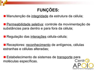 FUNÇÕES:
  Manutenção da integridade da estrutura da célula;

  Permeabilidade seletiva: controle da movimentação de
substâncias para dentro e para fora da célula;

  Regulação das interações célula-célula;

  Receptores: reconhecimento de antígenos, células
estranhas e células alteradas;

 Estabelecimento de sistemas de transporte para
moléculas específicas.
 