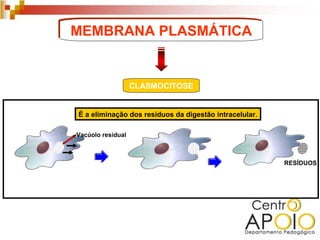 MEMBRANA PLASMÁTICA


                   CLASMOCITOSE


É a eliminação dos resíduos da digestão intracelular.

Vacúolo resídual



                                                        RESÍDUOS
 