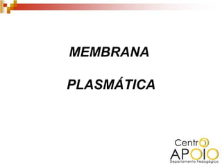 MEMBRANA

PLASMÁTICA
 