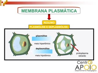 MEMBRANA PLASMÁTICA

              RESUMO
  PLASMÓLISE E DEPLASMÓLISE.


      plasmólise


     meio hipertônico

      deplasmólise

                               protoplasma
     meio hipotônico             retraído
 
