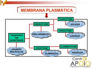 MEMBRANA PLASMÁTICA

                                   FAGOCITOSE

              ENDOCITOSE                    SÓLIDOS


                                   PINOCITOSE
             ENGLOBAMENTO
TRASPORTE                                  LÍQUIDOS
    EM
QUANTIDADE


                                    CLASMOCITOSE
               EXOCITOSE
 GRANDES
MOLÉCULAS                                       RESÍDUOS
                      ELIMINAÇÃO
 