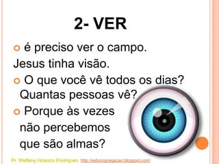 2- VER
  é preciso ver o campo.
 Jesus tinha visão.
  O que você vê todos os dias?
  Quantas pessoas vê?
  Porque às vezes
  não percebemos
  que são almas?
Pr. Welfany Nolasco Rodrigues http://esbocopregacao.blogspot.com/
 