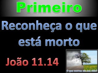 O que morreu em sua vida