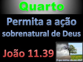 O que morreu em sua vida