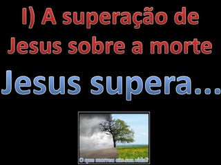 O que morreu em sua vida