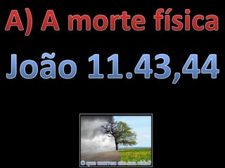 O que morreu em sua vida