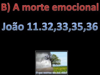 O que morreu em sua vida