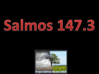 O que morreu em sua vida