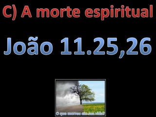 O que morreu em sua vida