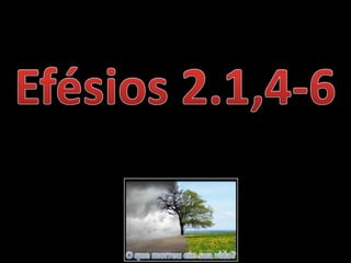 O que morreu em sua vida