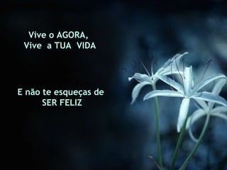 Vive o AGORA,  Vive  a TUA  VIDA E não te esqueças de SER FELIZ 